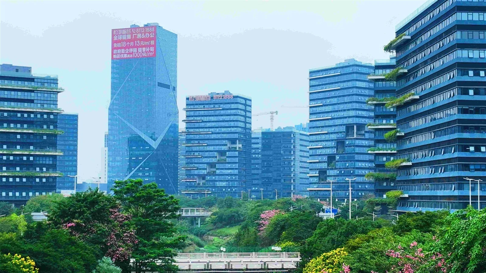 Dongguan factory.jpg